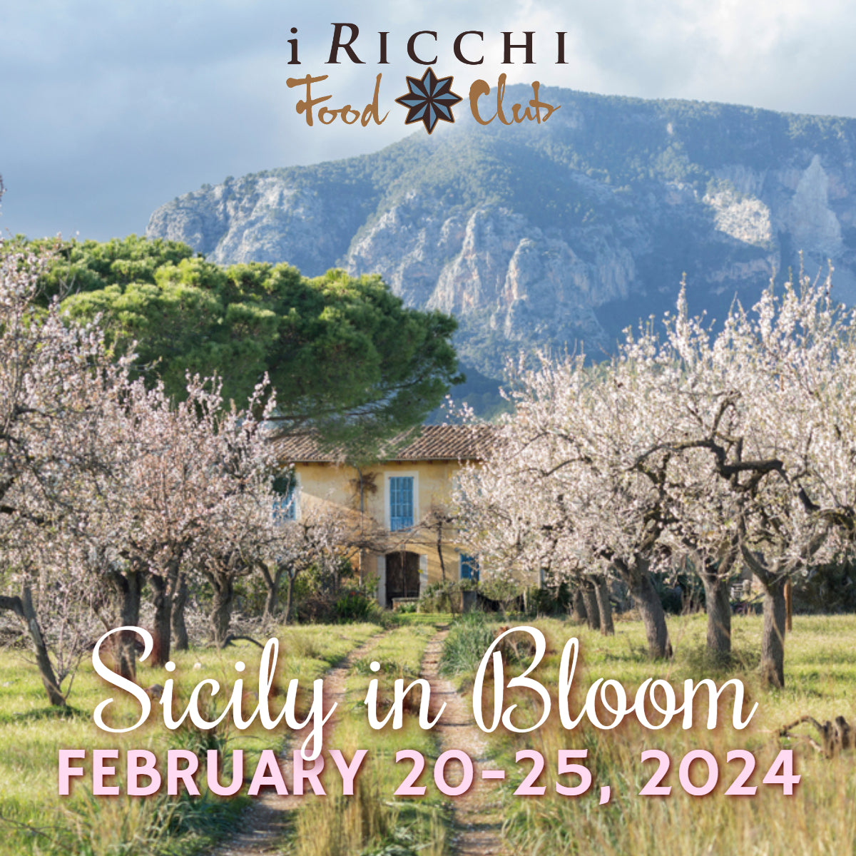 WEEK 205 MENU: February 20-25, 2024