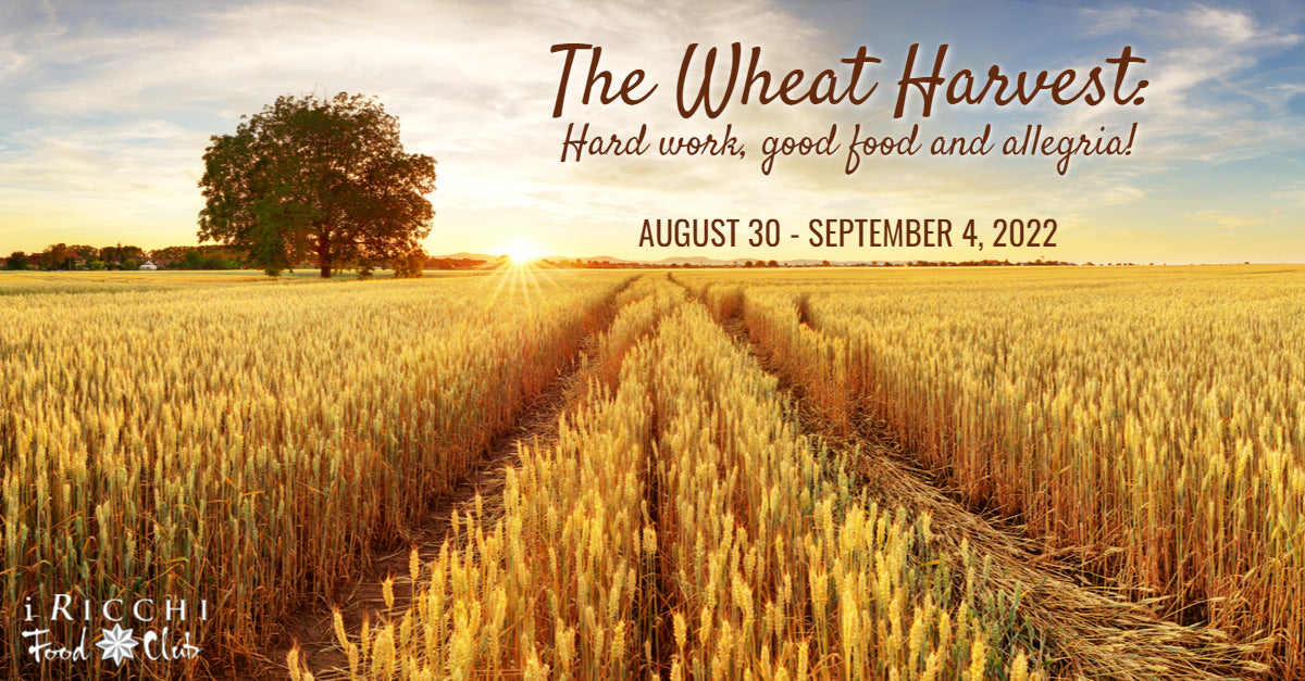 Week 128: August 30-September 4, 2022