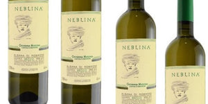 WEEK 12 WINE: Awarded Italy’s first DOCG for a white wine!