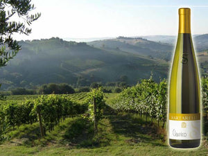 WEEK FIVE WINE: A standout Verdicchio